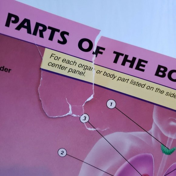 Geosafari Learning Game Science 10 Cards Pages, 20 Lessons EI-8715 - Picture 5 of 6